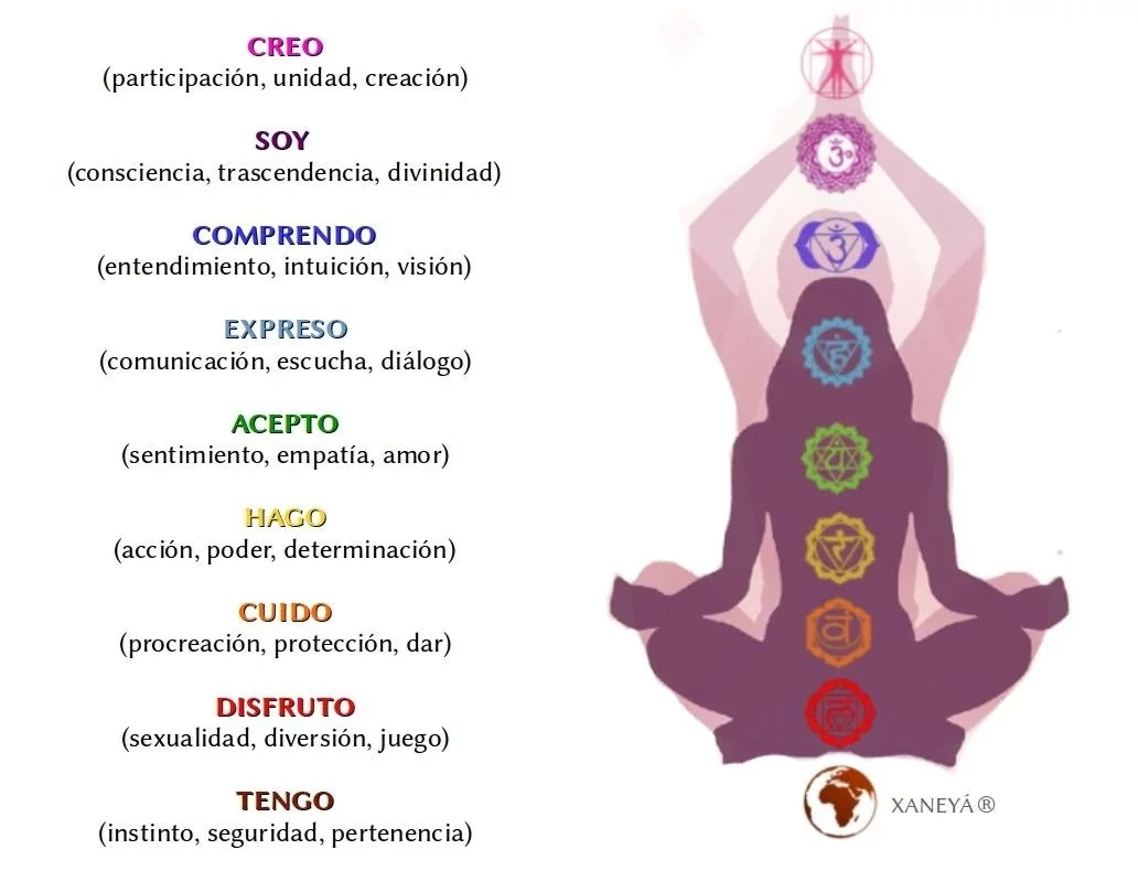 Sistema 9 chakras